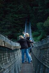 Ultimate Movie Tour (including Weta Cave Workshop Tour option)